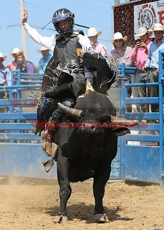 BG4I0868 copy