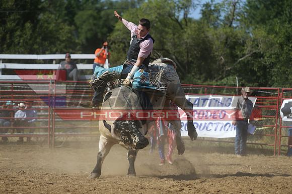 BG4I1478 copy